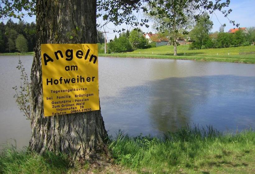 Hotel Pension Zum Grünen Wald 13