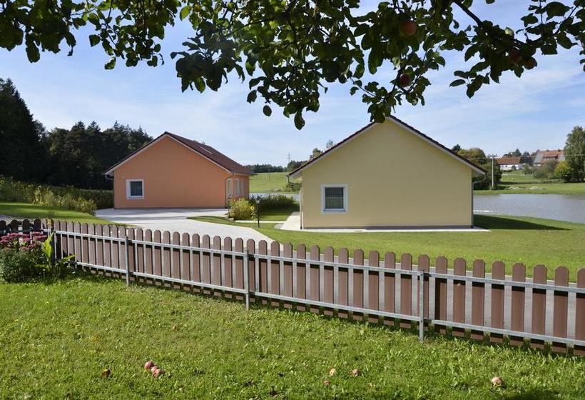 Hotel Pension Zum Grünen Wald 16