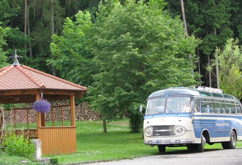 Hotel Pension Zum Grünen Wald 17