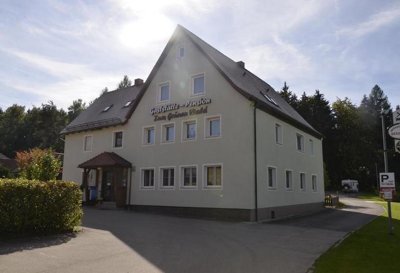 Hotel Pension Zum Grünen Wald 7