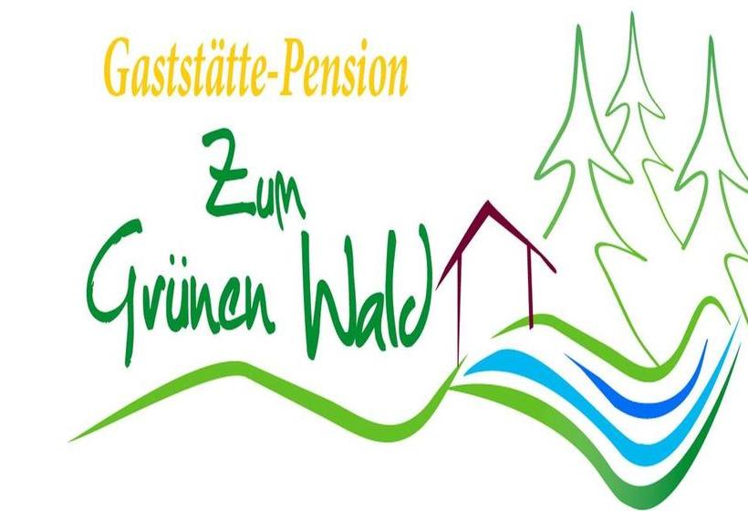 Hotel Pension Zum Grünen Wald 9