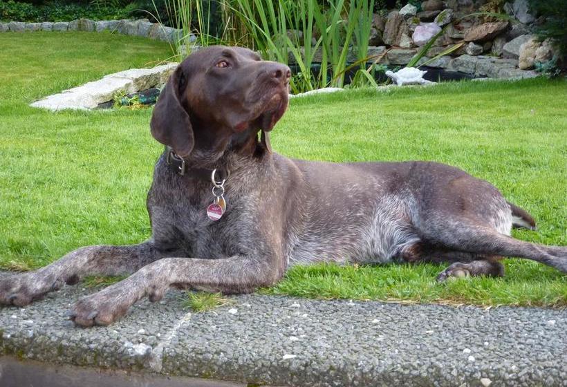 Hotel Landhaus Fischer 17