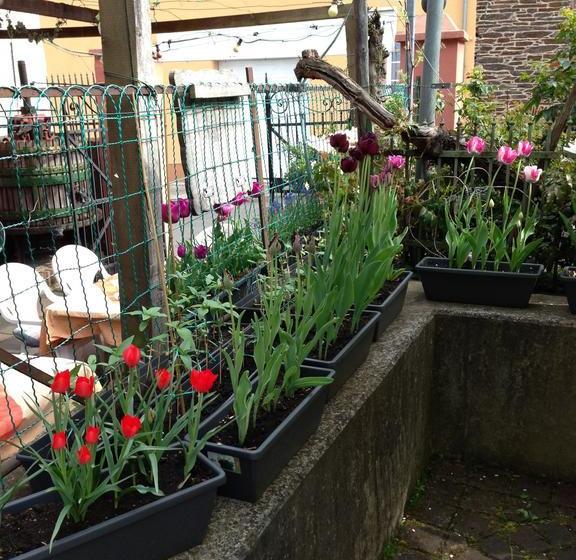 Landhotelrestaurant Wolfshof 8