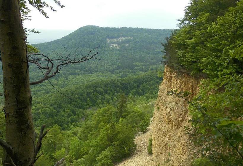 Hotel SpeidelŽs Braumanufaktur 6
