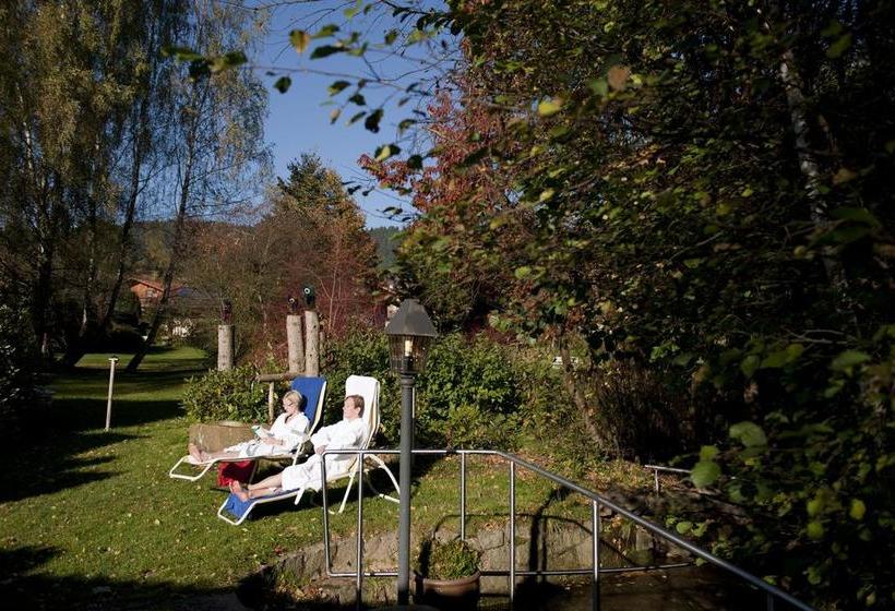 Hotel Das Bayerwald 4