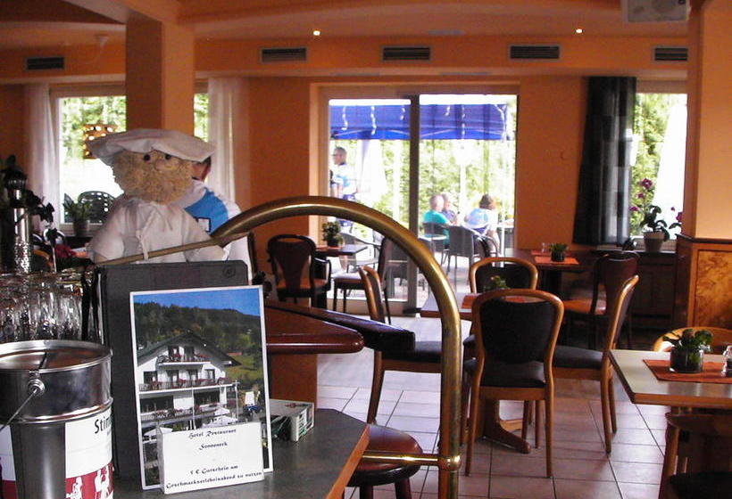 Hotel Sonneneck 2