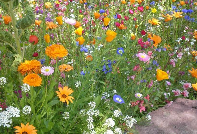 Hotel Pension Heidi 10