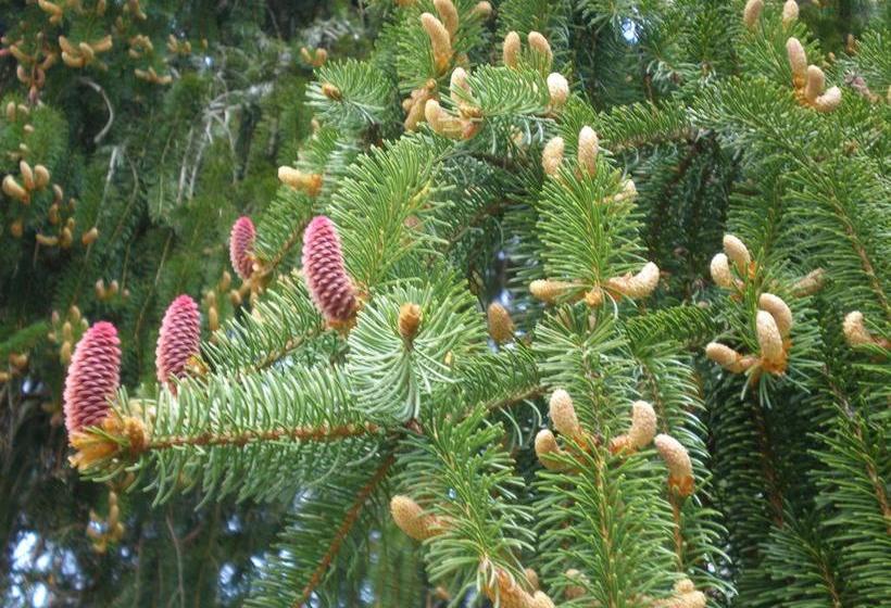 Hotel Pension Heidi 13