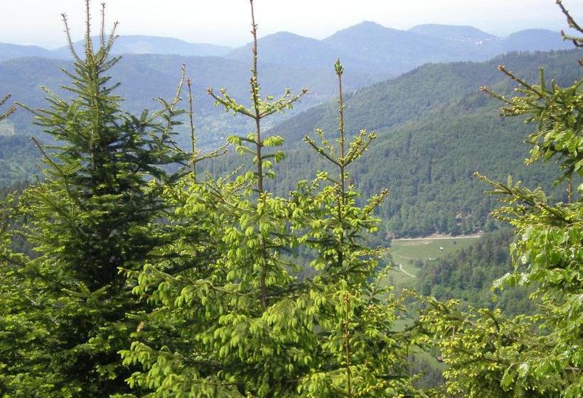 Hotel Pension Heidi 14