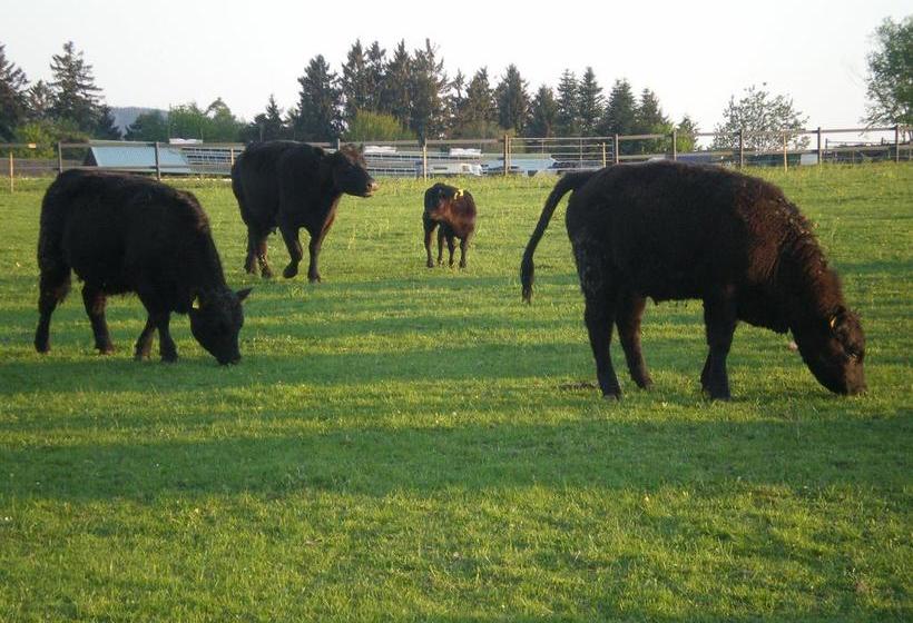 Hotel Pension Heidi 16