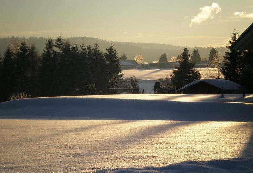 Hotel Pension Heidi 3