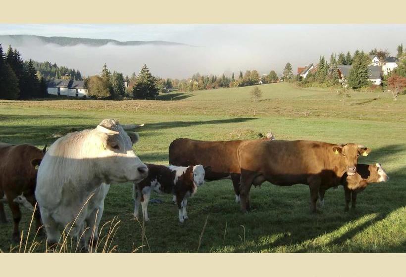 Hotel Landhaus Mühle Schluchsee 20