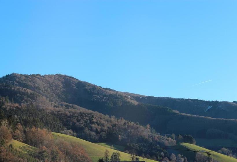 Hotel Gasthaus Zur Linde 9