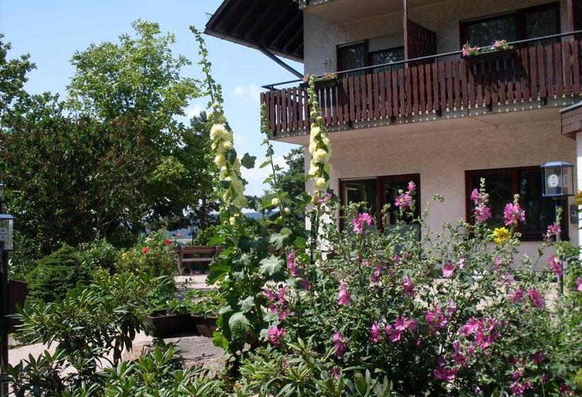 Hotel Wildenburger Hof 2