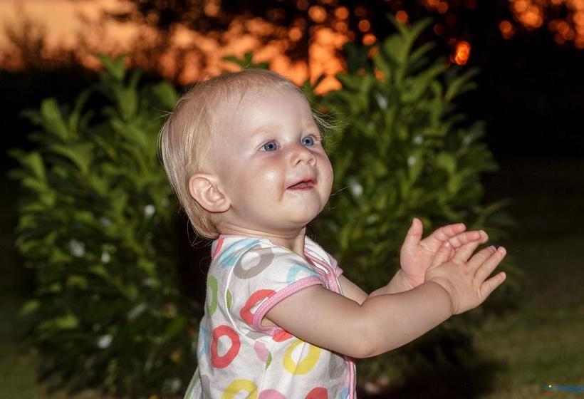 Resort Seepark Auenhain 9