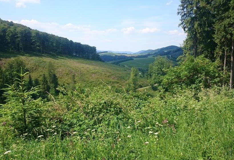 Hotel Gasthof Braun Schmallenberg Renania del Norte Westfalia