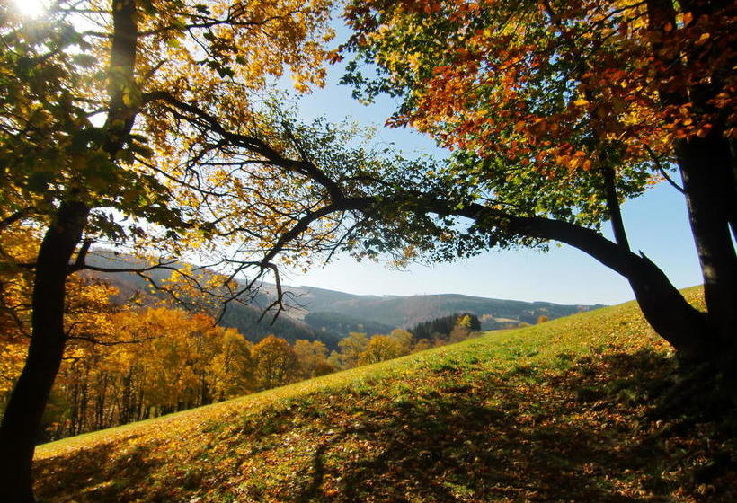 Hotel Gasthof Braun 10