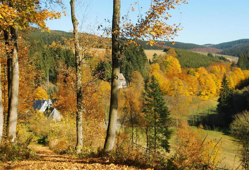 Hotel Gasthof Braun 11