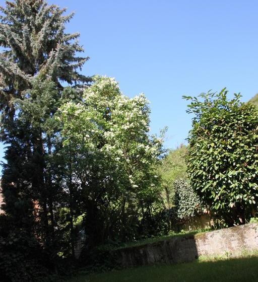 Hotel Und Gästehaus Gute Quelle 16