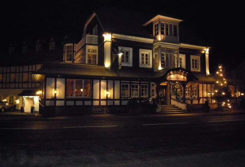 Lahntalhotel Feudingen 6