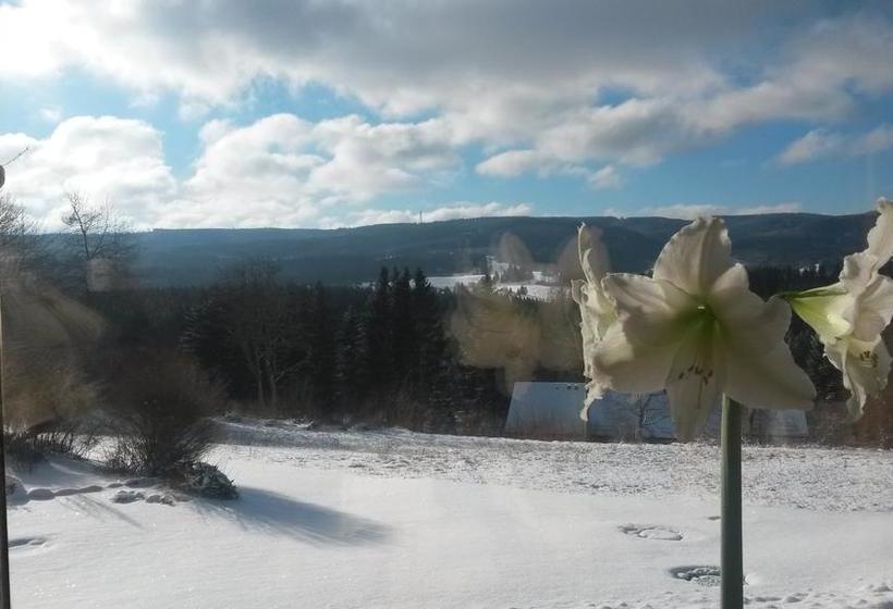 Hotel Gasthof Straub 17