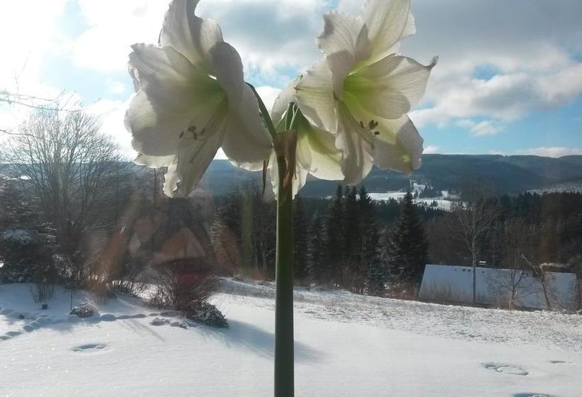 Hotel Gasthof Straub 18