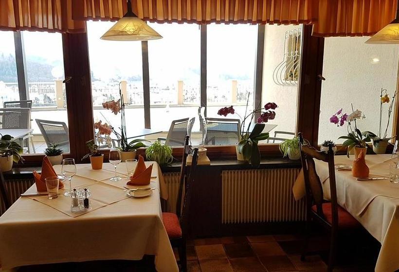 Hotel Landhaus Haus Am Berg 8