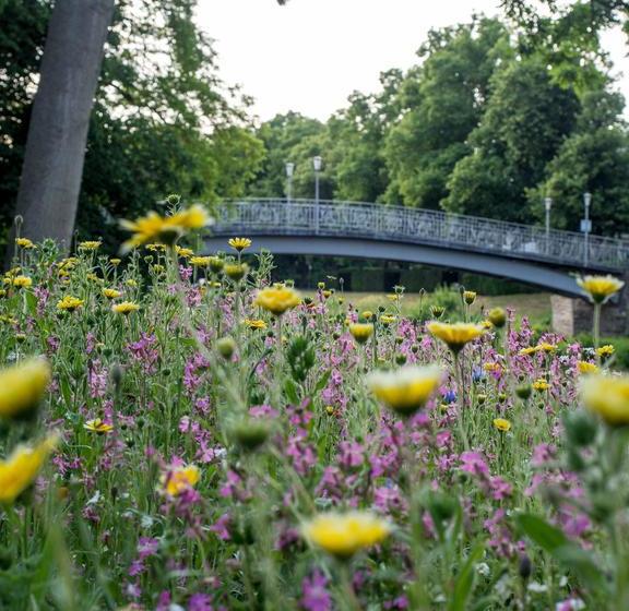 Aparthotel Am Kurpark 11