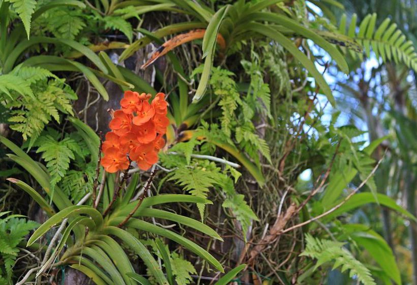 Hotel Royal Lee Resort & Spa 7