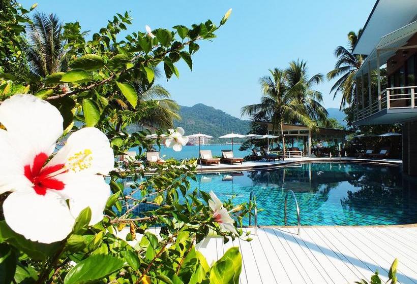 Resolution Resort 19