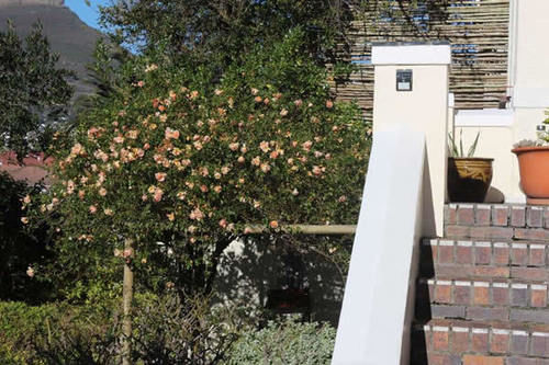 Pensión Hillcrest Manor Guesthouse 7