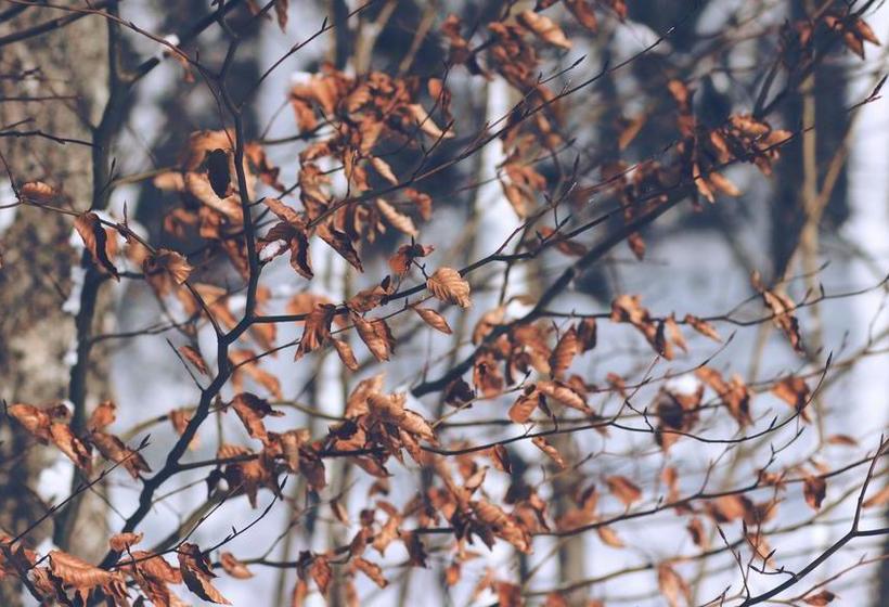 Hotel Franschhoek Boutique 11