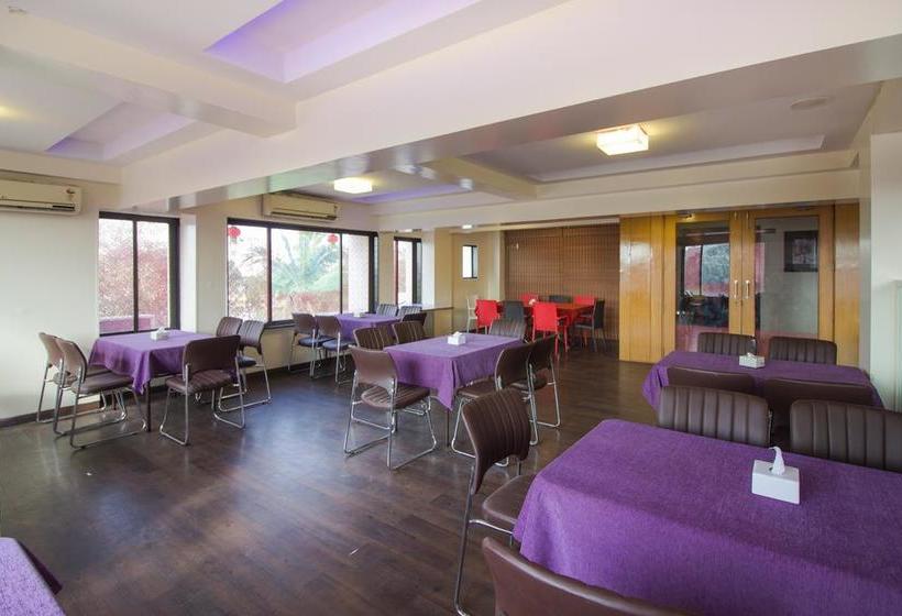 Hotel Satish Executive 13