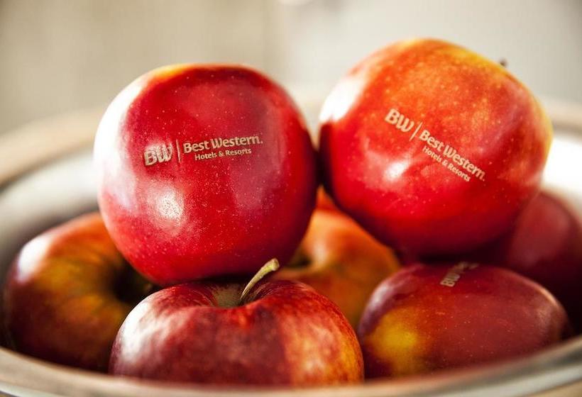 Best Western Hotel Stuttgart Zuffenhausen 4