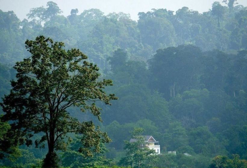 Hotel Greenway Forest View 17