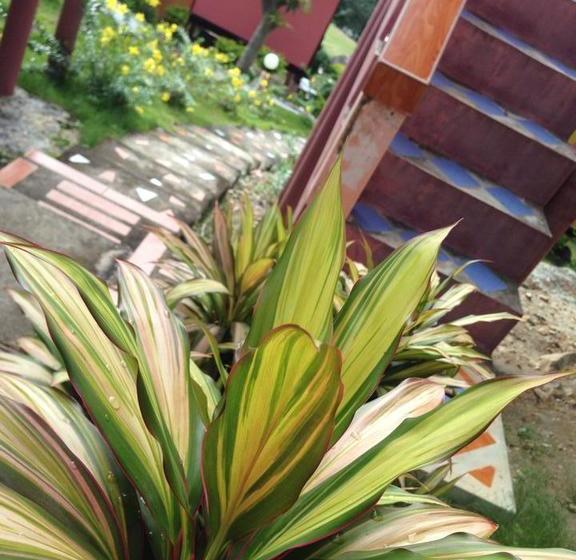 Pensione J.b Hut Bungalow 2