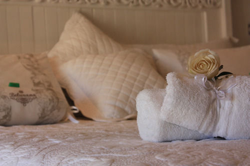 Bed and Breakfast Belurana River Manor 15