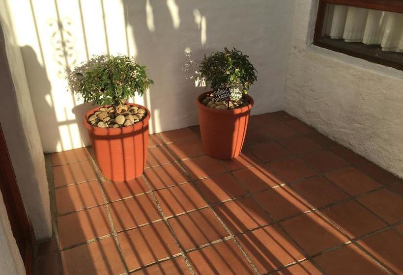 Casablanca Bed And Breakfast 15