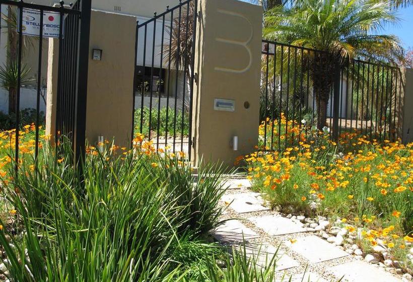 Casablanca Bed And Breakfast 6