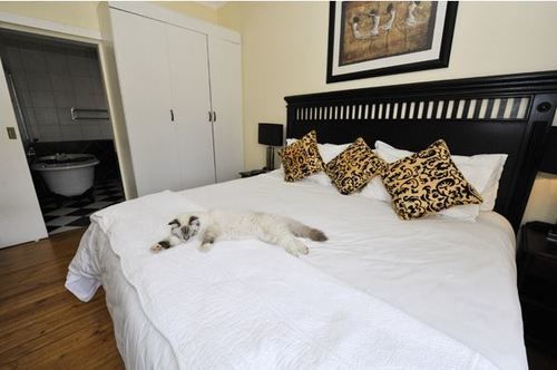 Pension Arum Place Guest House 3