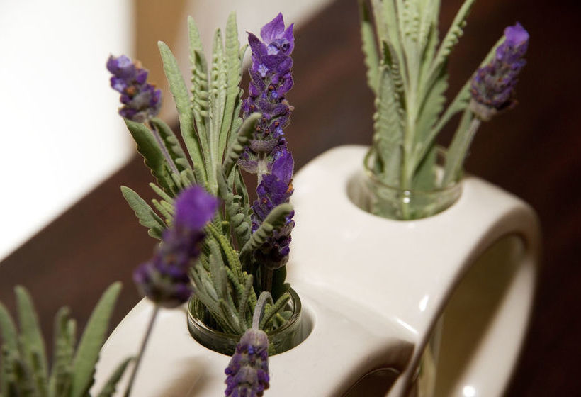 Pension Beetleloop Guest House 18