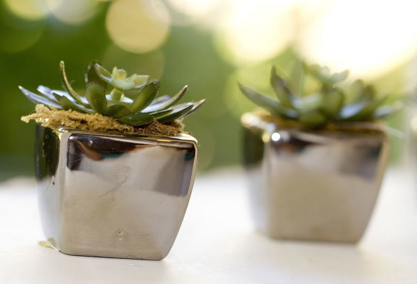 Pension Beetleloop Guest House 20