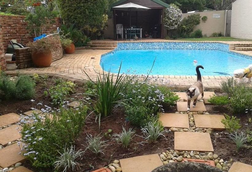 Pension Calico Guest House