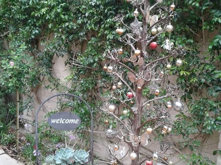 Pension Calico Guest House 1