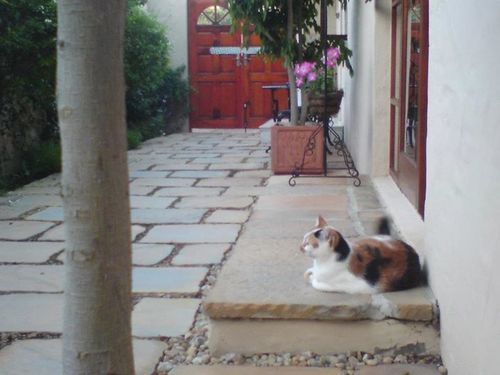 Pension Calico Guest House 18