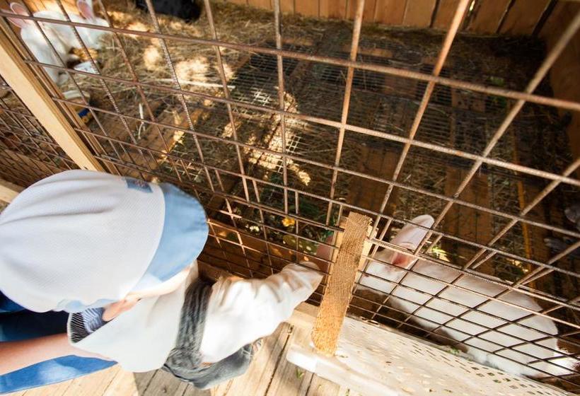 Hotel Valdajskiye Zori 16