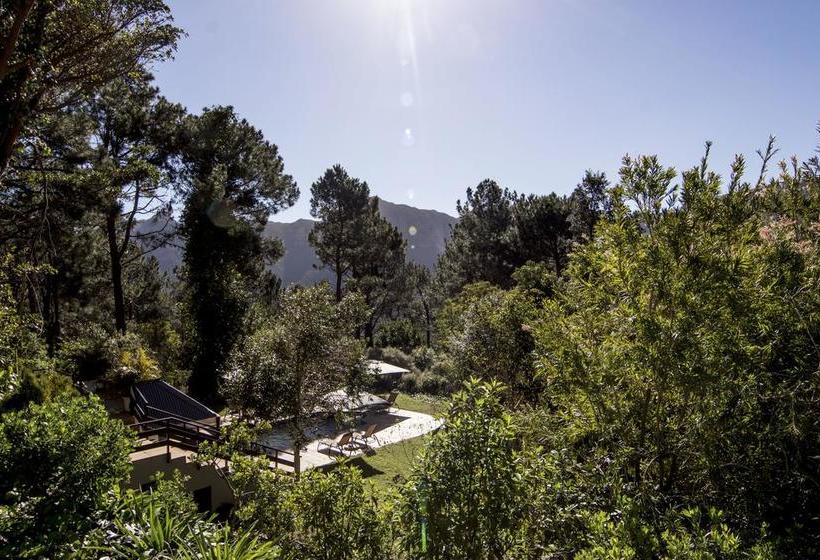 Hotel Silvermist Mountain Lodge And Wine Estate 8