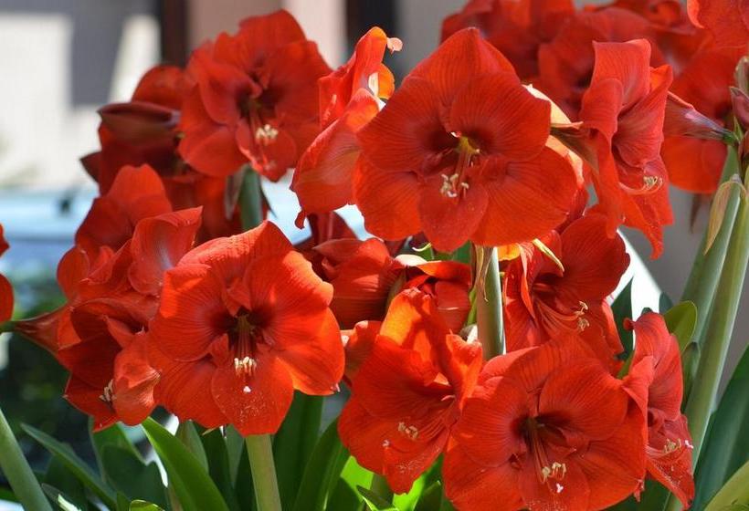 Hotel Bed And Breakfast In Hatfield 16