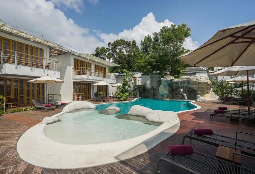 Hotel White Sand Samui Resort 10