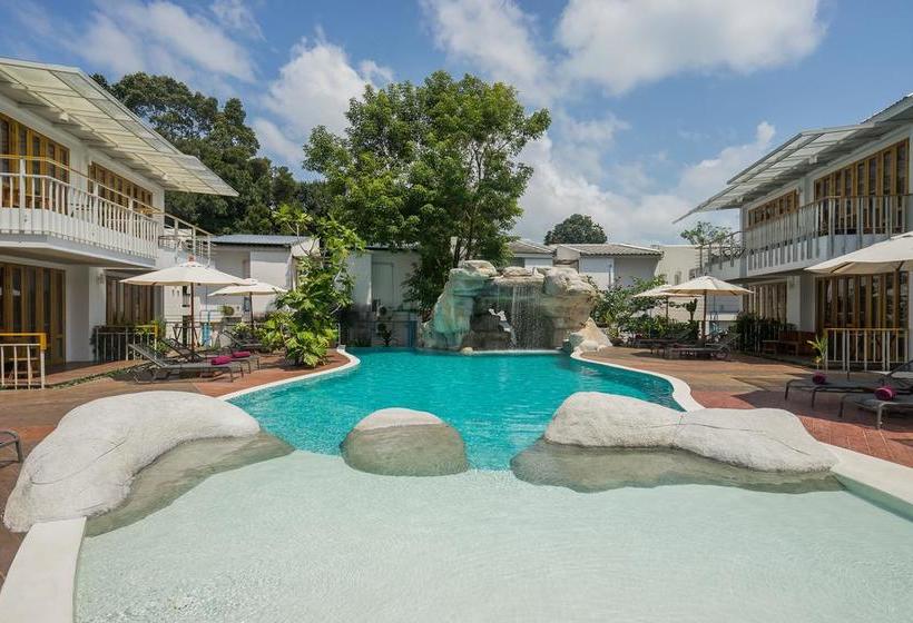 Hotel White Sand Samui Resort 8